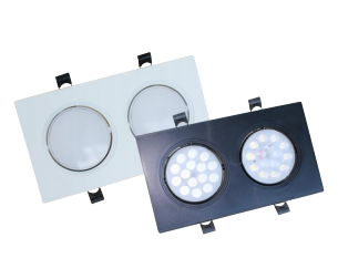 Double Head Downlight