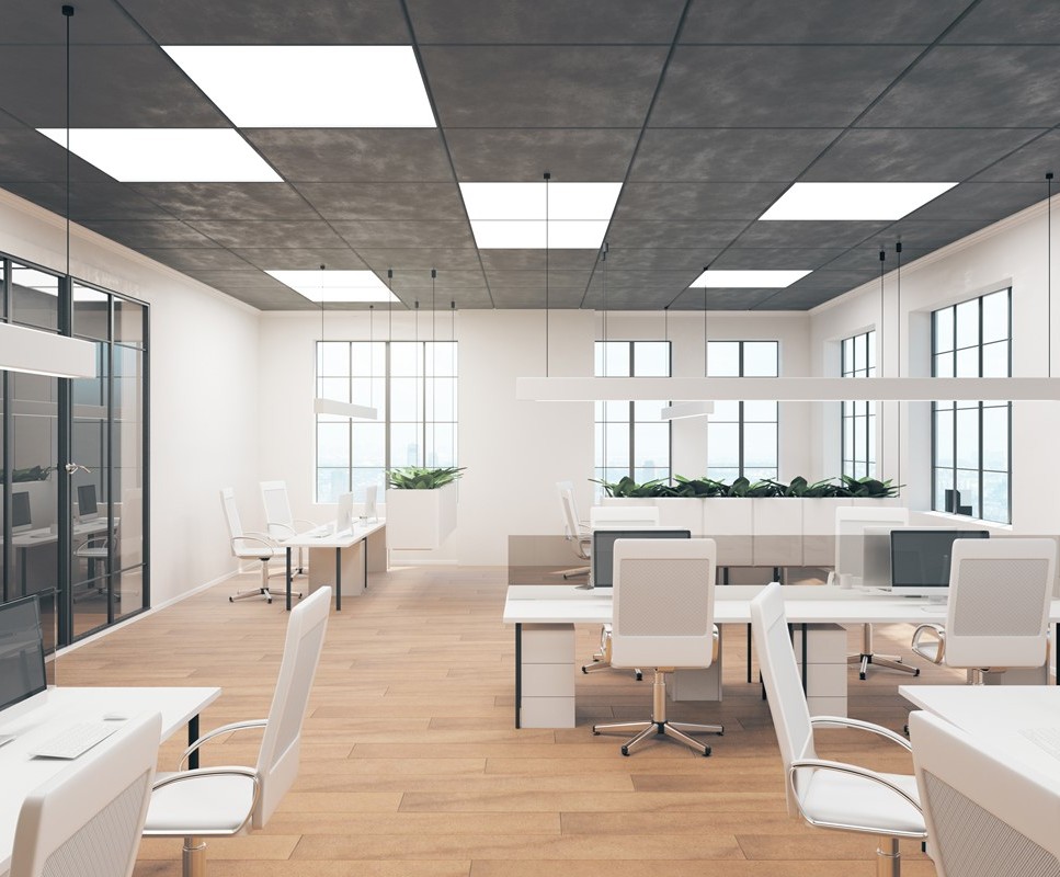 Back-lit panel light